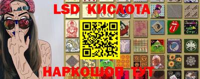 гидра Новозыбков
