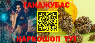 гидра Новозыбков