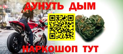 гидра Новозыбков